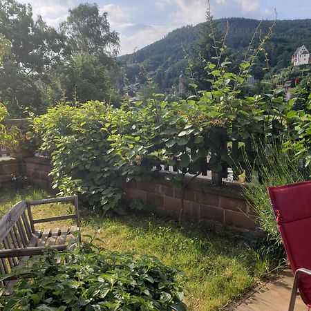 Panorama-Blick Miltenberg, 3 Pers., Zentr., Am Main, Terrasse, Bootverleih, P Ngoại thất bức ảnh