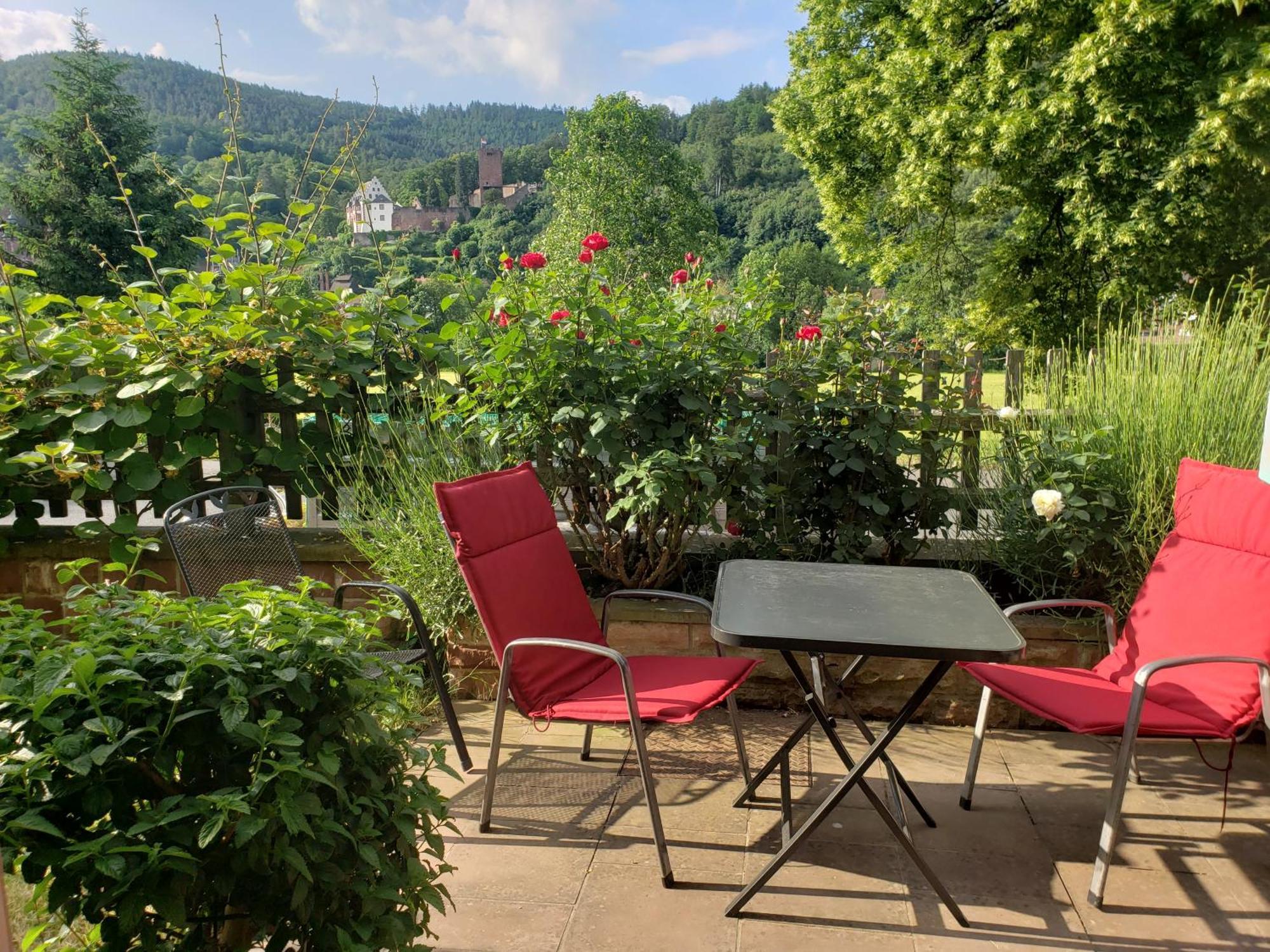 Panorama-Blick Miltenberg, 3 Pers., Zentr., Am Main, Terrasse, Bootverleih, P Ngoại thất bức ảnh